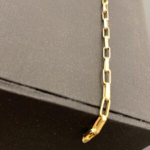 Pulseira 21Cm Cartie Longa