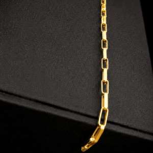 Pulseira 21Cm Cartie Longa